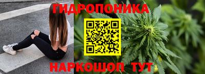 бошки Мирный