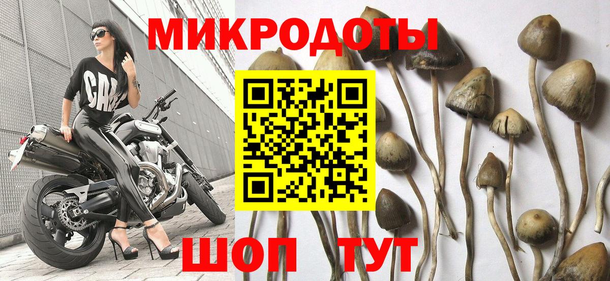 Галлюциногенные грибы Magic Shrooms  Вход с VPN  Бахчисарай  Галлюциногенные грибы Cubensis 