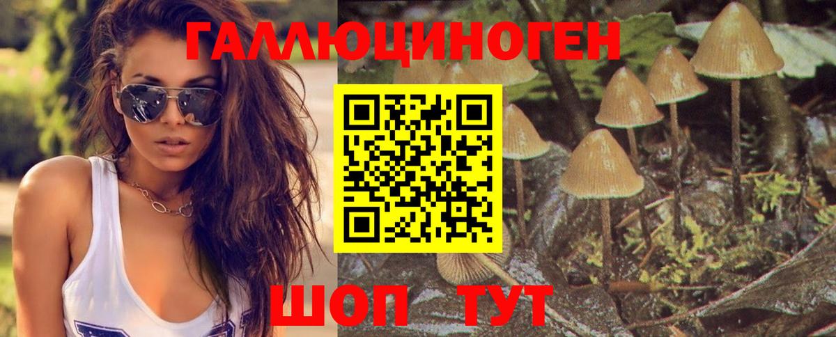 Псилоцибиновые грибы MAGIC MUSHROOMS Бахчисарай